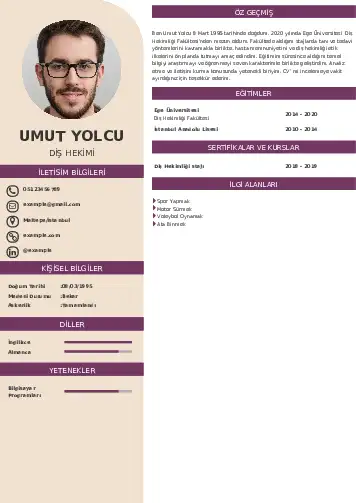 Diş Hekimi cv indir